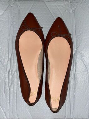 J. Crew Pointed-Toe Ballet Flats in Rich Brown with Bow